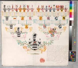 Proband: Mauchenheim gen. Bechtolsheim, Franziska von; Vater: Mauchenheim gen. Bechtolsheim, Reichard Philipp von; Mutter: Fuchs von Bimbach und Dornheim, Maria Sophia Augusta Gräfin: Nottuln, Stift