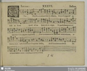 XXXVI. Quasi cedrus exaltata sum