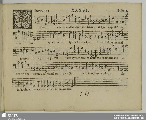 XXXVI. Quasi cedrus exaltata sum