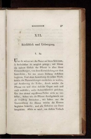 XII. Rückblick und Uebergang