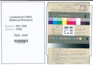 Entnazifizierung Josef Spitz , geb. 22.11.1891 (Landwirt)