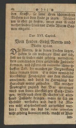 Das XVI. Capitel. Vom Lenden-Grieß, Nieren- und Blasen-Stein