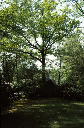 Willinghusen: Ehrenmal 1914-18 und 1939-45