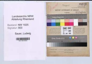 Entnazifizierung Ludwig Sauer , geb. 25.10.1900 (Spediteur)