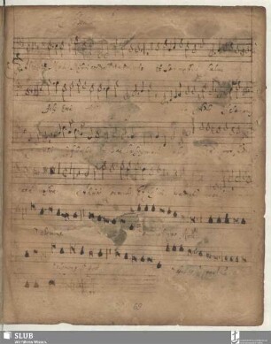 Anonymus : Salve regina
