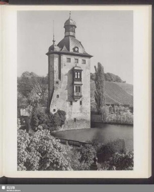 Mittelalterliche Wasserburg