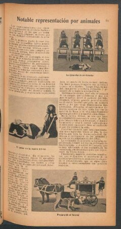 Notable representación por animales