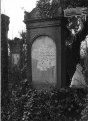 Grabstein 225 (Index: 100093544) Maße HxBxT: 197x59x29 cm Symbolik: Verzierungen: Grabstein 225