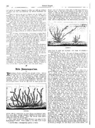 Mein Zimmeraquarium