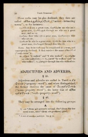 Adjectives and adverbs (§45 - §48)