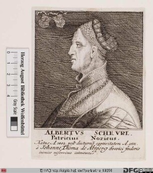 Bildnis Albrecht V. Scheurl