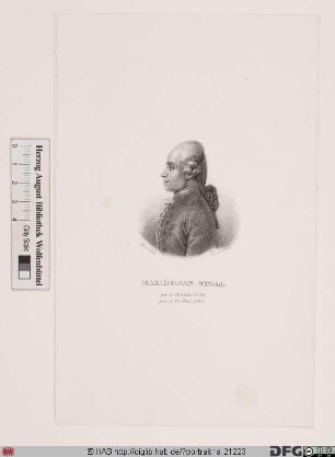 Bildnis Maximilian Stoll