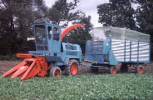 Fotografie: Futtererntetechnik, Maissilage, Feldhäcksler selbstfahrend, Maisgebiss, Umhängeverfahren