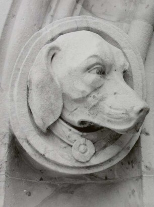 Hundekopf