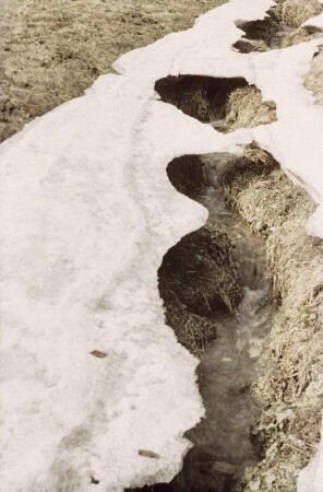 Schneeschmelze