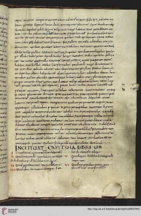 Liber VII