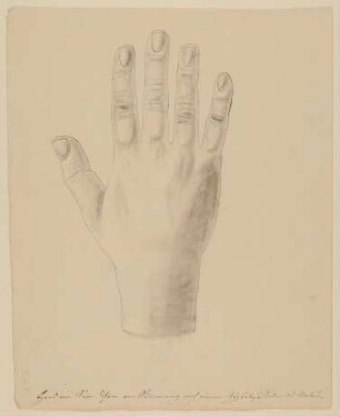 Die rechte Hand des Samuel Thomas Soemmerring nach einem Gipsabguss [aus einem Konvolut anatomischer Zeichnungen des Christian Koeck]
