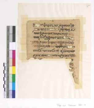 2nd Sunday of Tût
