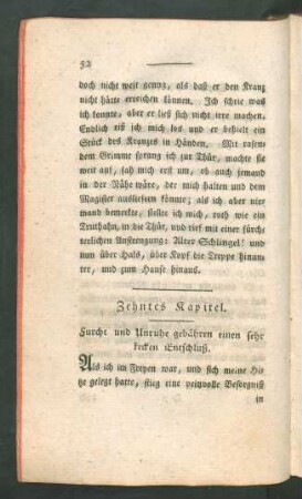Zehntes Kapitel. Furcht und Unruhe gebähren einen sehr kecken Entschluß.