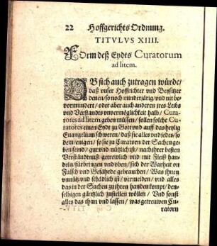 Titvlvs XIIII. FOrm deß Eydts Curatorum ad litem.