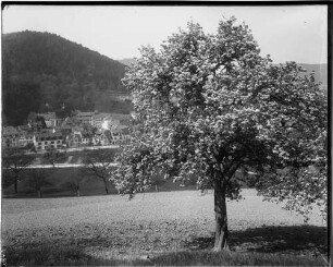 Kloster Lichtental Gesamtansicht von Nordosten