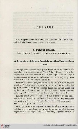 A. Fornix Cranii
