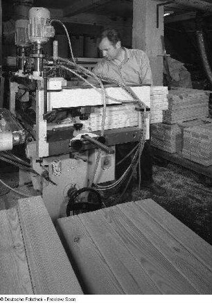 Produktionsstrecke. Zuschnitt des Holzes