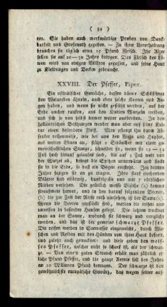 XXVII. Der Pfeffer, Piper.