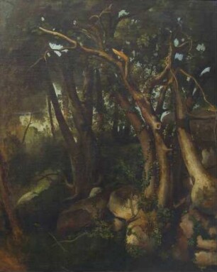 Waldinneres