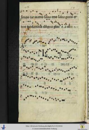 [207v] Alleluia, Magnificat anima mea (Nachtrag des 17. Jhs).