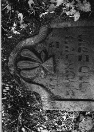 Grabstein 1137 (Detailaufnahme 1)