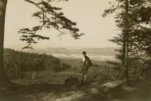 Säschsische Schweiz. Blick vom Großen Zschirnstein auf Reinhardtsdorf und die Schrammsteine