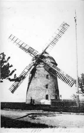 Sachsendorf. Erdholländer, Pfingsten 1931, Repro