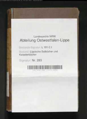 Salbuch der ehem. Vogtei Langen-Holzhausen von 1858, Bd. 2