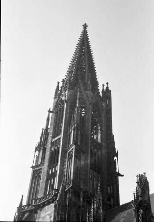Freiburg: Münsterturm, von unten
