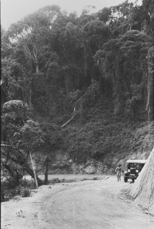 Urwaldrest im Mbeya Gebirge : Urwaldlandschaft entlang einer Straße