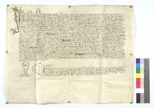 Der Offizial des Speyerer Dompropsts transsumiert für das Kloster Maulbronn drei Urkunden von Papst Alexander IV. (1256 Juni 13), Papst Nikolaus IV. (1289 Januar 13) sowie König Heinrichs VII. (1309 Juli 13).