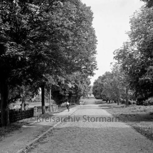 Lindenstraße mit Kopfsteinpflaster: hinten links Junge auf Fahrrad: rechts und links Linden