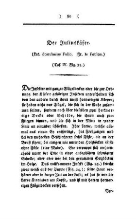 ¬Der¬ Juliuskäfer : (Lat. Scarabaeus Fullo, Fr. le Foulon) ; (Taf. IV, Fig. 21)
