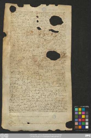 [Halle (Saale), Universitäts- und Landesbibliothek Sachsen-Anhalt, Morbio 20 (99)]