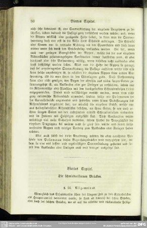Viertes Capitel. Die schmiedeeisernen Brücken