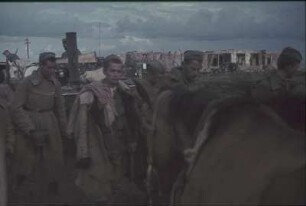 Zweiter Weltkrieg. Rußland, Oblast Belgorod. Nach den Kampfhandlungen. Sowjetische Kriegsgefangene