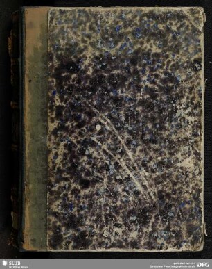 Libri actorum - Mscr.Dresd.A.199.g