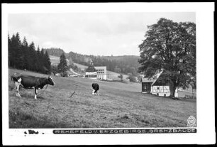 Rehefeld im Erzgebirge mit Grenzbaude
