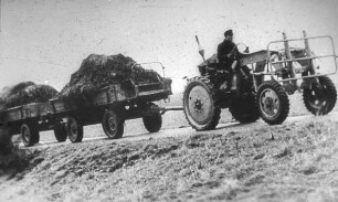 Fotografie: Transport, Transportgerät, Zweiachsanhänger, Geräteträger, Festmist