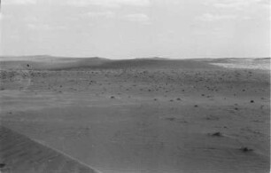 In der Wüste : Blick über eine sandige, ebene Landschaft