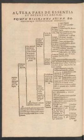 Altera Pars De Essentia Et Potentiis Animae.