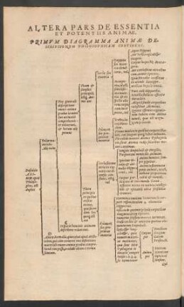 Altera Pars De Essentia Et Potentiis Animae.