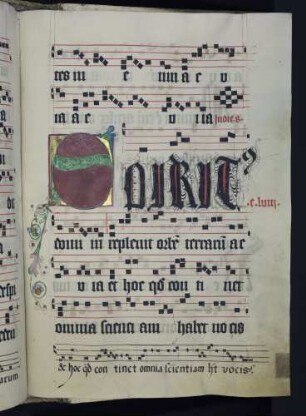 Zierinitiale und Zierschrift: S(piritus)