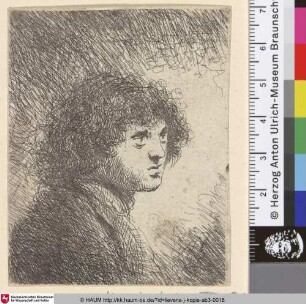 [Brustbild eines jungen Mannes nach rechts; Bust of a young man, facing right]